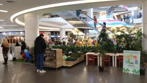 Carousel AVM’de Tohum Atölyesi ile Doğa Sevgisi